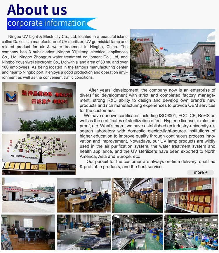 6W T4 Tube Double Side Straight Disinfection Germicidal UVC Lamp