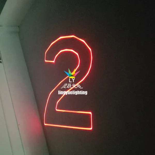 CE RoHS 1W 3D Animation Laser Light (LY-905Z)