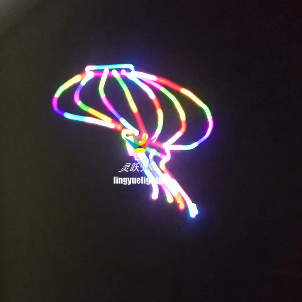 CE RoHS 1W SD Animation Laser Club Light