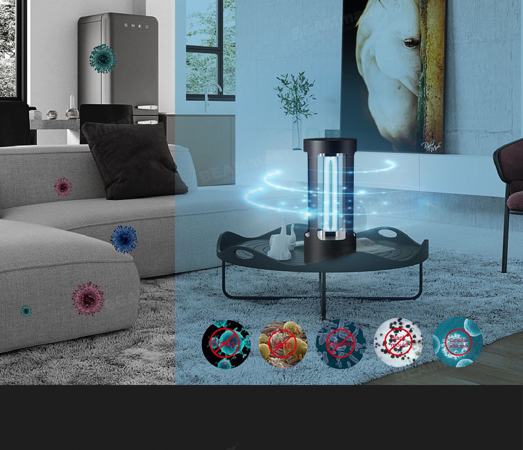 China Manufactures Mini Table 254nm Model Sterilizer Germicidal Disinfection UV Lamp