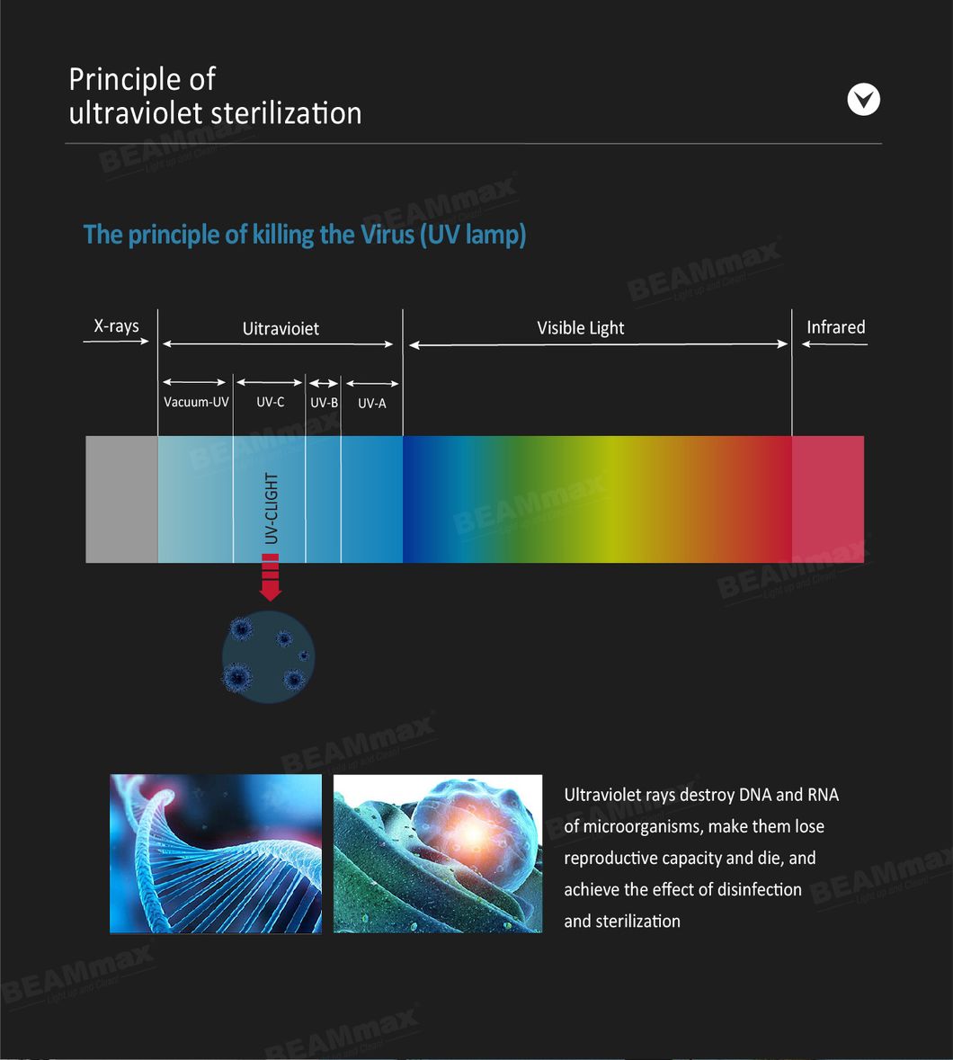 China Manufactures Mini Table 254nm Model Sterilizer Germicidal Disinfection UV Lamp