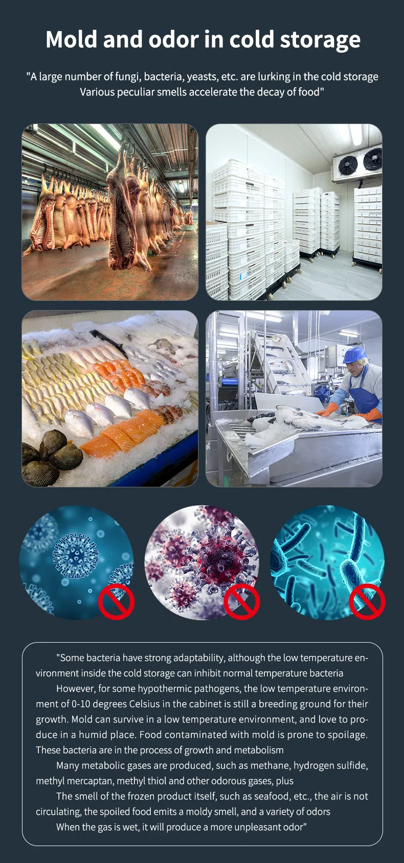 Cold Chain Ultraviolet Lamps Germicidal 254nm UV High-Intensity Sterilization