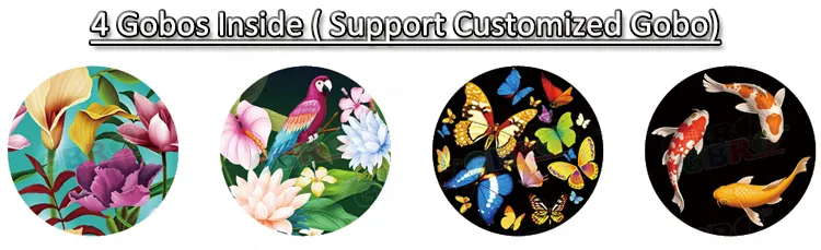 Gbr-LG200 200W IP65 Outdoor LED Projector Gobo Light