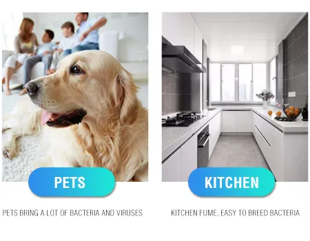 High Quality UV Corn Bulb for Hospital Home Schools UVC Lamps