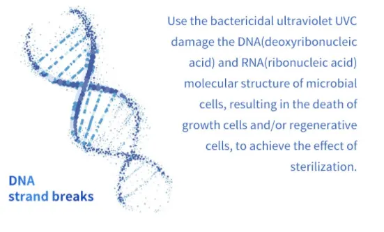Medical Grade TUV650W UVC Light Trolley with LCD Display 185nm 253.7nm UV Sanitizing Lamp 12months Warranty