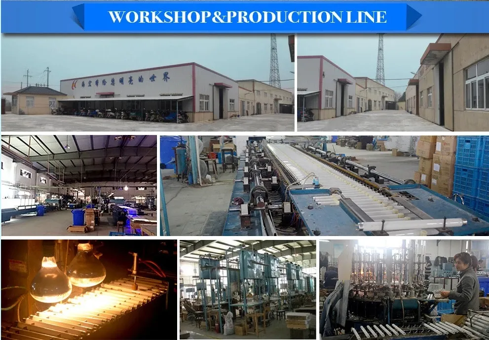 T5 8W Bl Blue Light Fluorescent Lamp F8t5 UVA Insect Killer Lamp 365nm CE RoHS