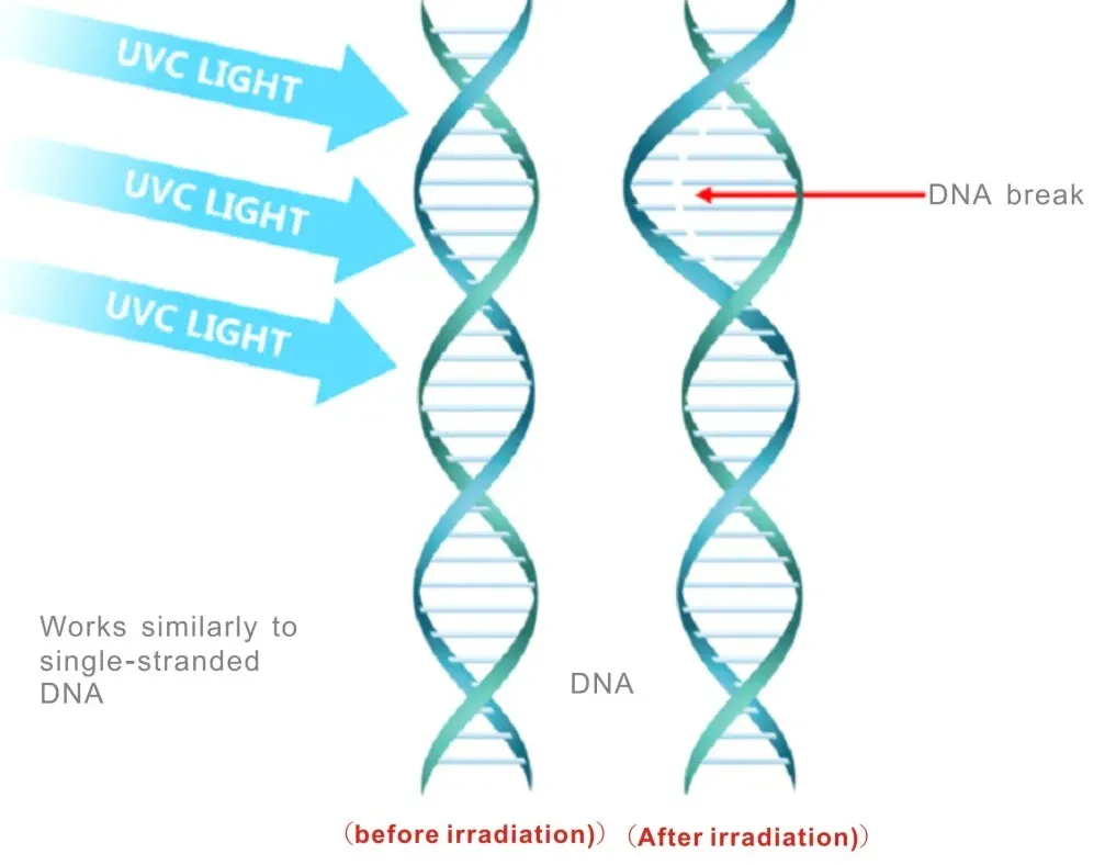 UVC Bactericidal Tube Standard 4-Pin Gph1554t5l-150W